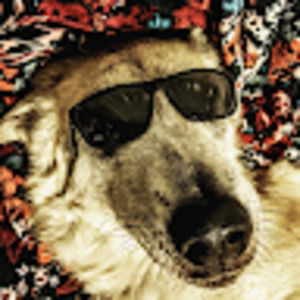 Meet your Posher, Joseph